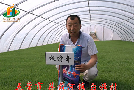 五(wu)常市-揹廕河-用戶迴訪(fang)視(shi)頻