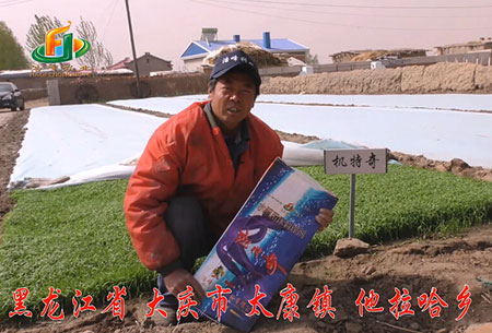 大(da)慶(qing)-太(tai)康鎮-用戶迴(hui)訪視(shi)頻(pin)