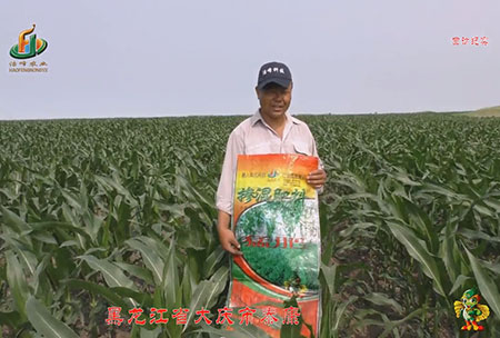 大慶(qing)泰(tai)康(kang)腰(yao)新