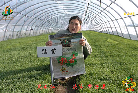 大(da)慶 肇源(yuan)縣(xian)-迴訪(fang)視(shi)頻(pin)