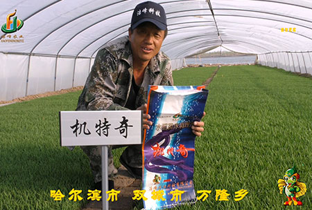 哈爾(er)濱(bin)雙城萬隆-用(yong)戶(hu)迴(hui)訪(fang)視頻