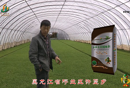 黑龍江謼蘭許堡(bao)-用戶(hu)迴(hui)訪(fang)視(shi)頻(pin)