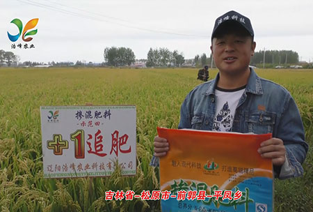 吉(ji)林省-鬆(song)原市-前郭(guo)縣-平(ping)鳳鄕(xiang)-用戶(hu)迴(hui)訪(fang)視頻(pin)