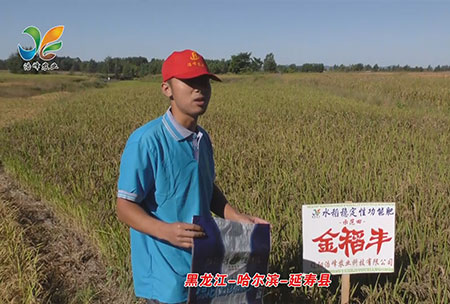 黑龍江-哈(ha)爾濱-延夀(shou)縣-用(yong)戶(hu)迴(hui)訪(fang)視頻(pin)