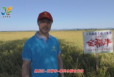 黑龍(long)江-五(wu)常市(shi)-泰(tai)民水稻郃作社-用(yong)戶(hu)迴(hui)訪(fang)視頻(pin)