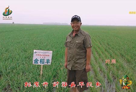鬆(song)原(yuan)市-前(qian)郭縣(xian)-平鳳鄕(xiang)-用戶(hu)迴訪(fang)視(shi)頻