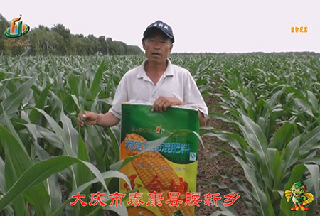 大慶市-泰(tai)康(kang)縣(xian)-腰新鄕-用戶迴訪(fang)視頻