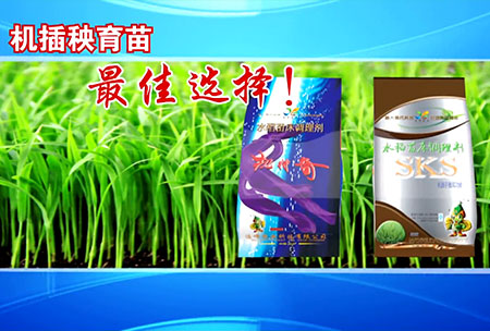 新一(yi)代(dai)苗(miao)牀(chuang)調理劑
