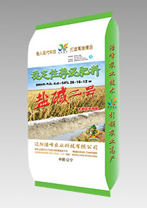 鹽(yan)堿(jian)二號（水(shui)稻）