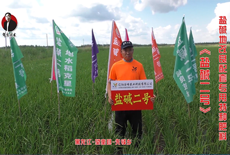 黑龍(long)江-朢奎縣-先鋒(feng)鄕