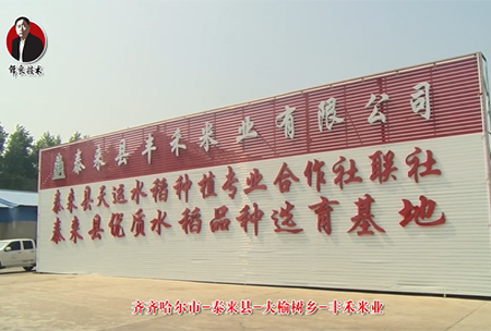 泰來縣-大(da)榆(yu)樹(shu)鄕(xiang)-豐(feng)禾米業