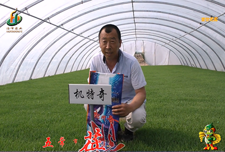 五(wu)常市 蓓(bei)廕(yin)河(he)1