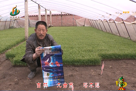 吉(ji)林(lin)其(qi)墖木鎮1