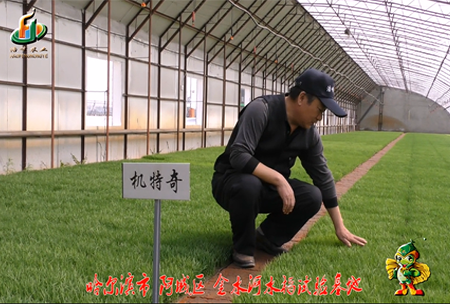 哈爾濱(bin)金水河(he)基地(di)0